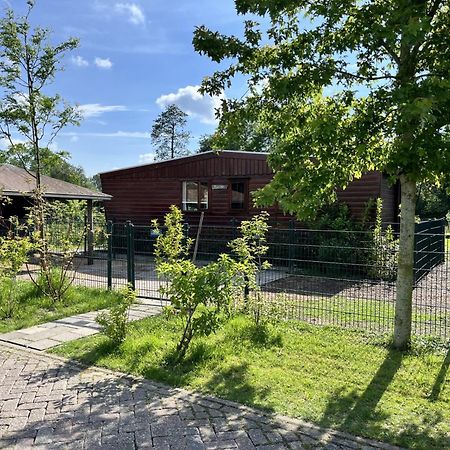 Villa Vrijstaand Chalet Met Veel Buitenruimte En Veranda à Zuid-Scharwoude Extérieur photo