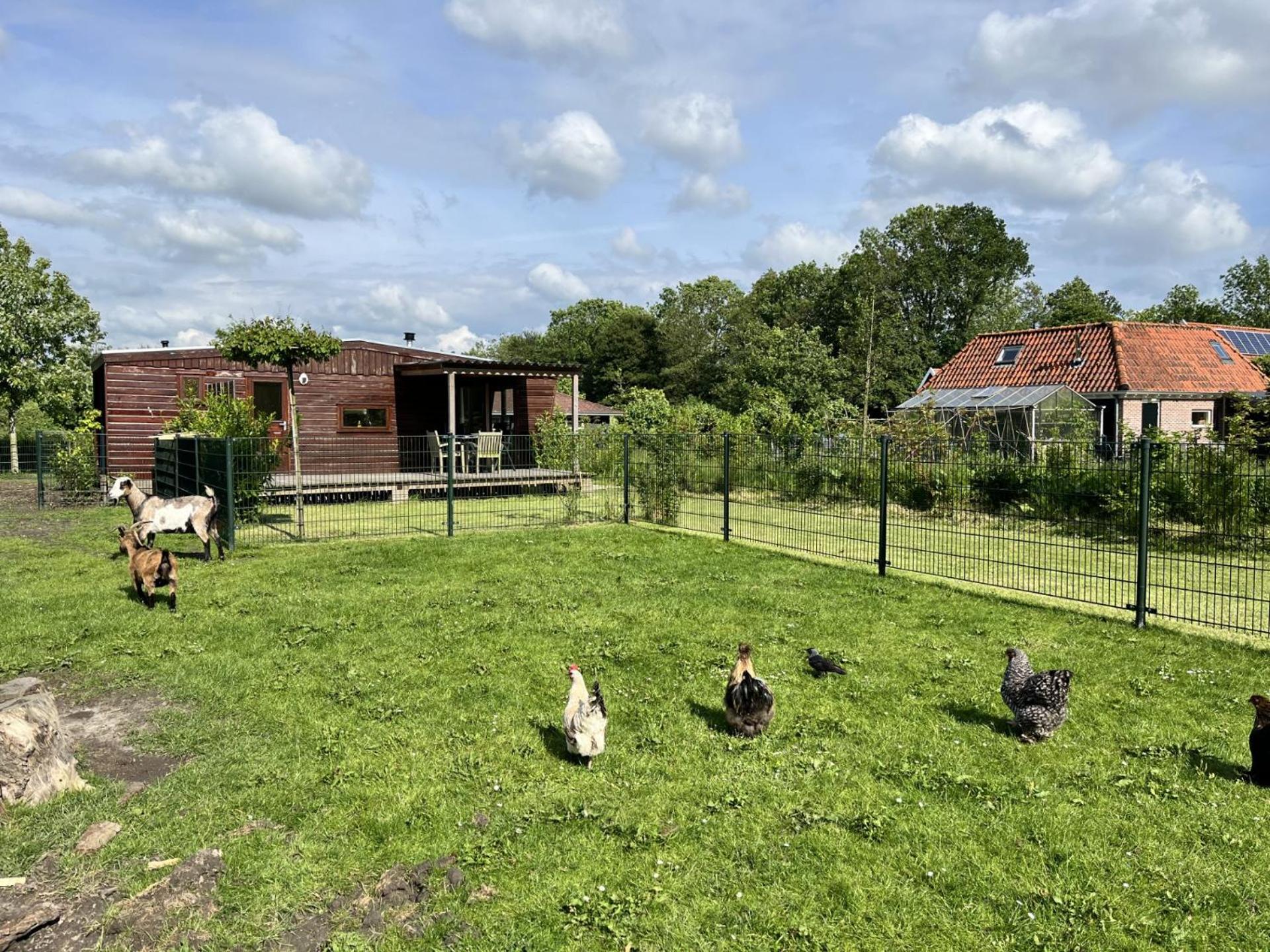 Villa Vrijstaand Chalet Met Veel Buitenruimte En Veranda à Zuid-Scharwoude Extérieur photo